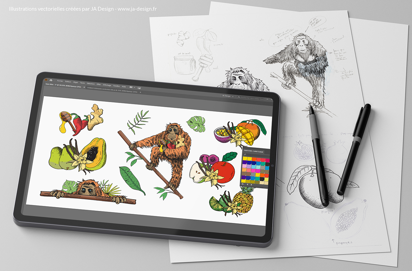 Création d'illustrations vectorielles pour la création d'une étiquette de rhum spiritueux PONGO par JA Design - Graphiste à Bordeaux